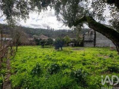 Acheter Maison Penacova r�gion COIMBRA