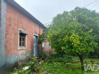 Annonce Vente Maison Ferreira-do-zezere