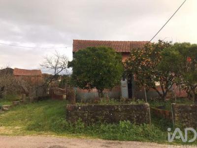 Acheter Maison 64 m2 Ferreira-do-zezere