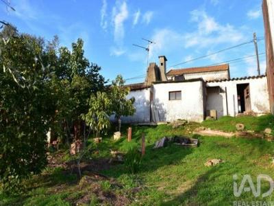 Annonce Vente Maison Chamusca