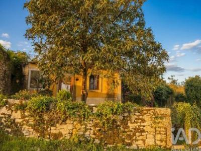 Annonce Vente Maison Ferreira-do-zezere