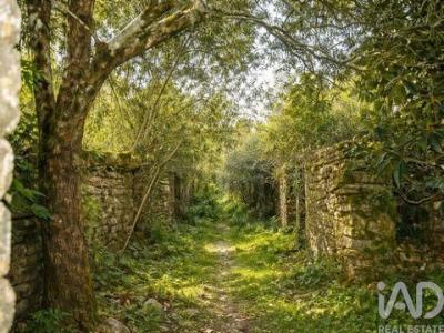 Acheter Maison Ferreira-do-zezere r�gion SANTAREM