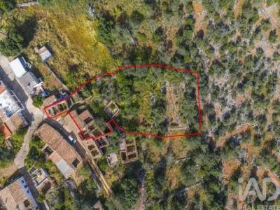 Acheter Maison 901 m2 Loule