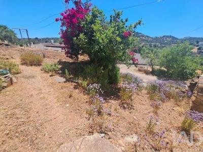 Acheter Maison Tavira r�gion FARO