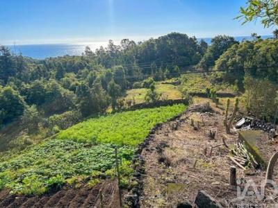 Acheter Maison 84 m2 Lajes-do-pico