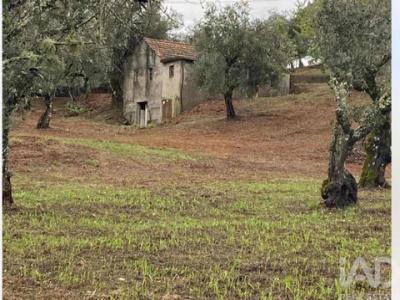 Annonce Vente Maison Serta