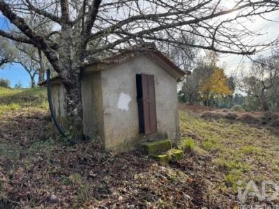 Acheter Maison Serta r�gion CASTELO-BRANCO