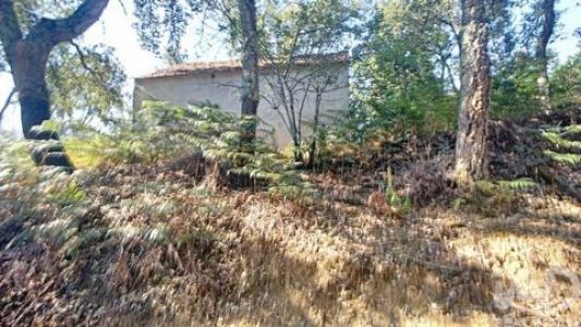 Annonce Vente Maison Pedrogao-grande