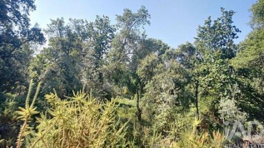 Acheter Maison 91 m2 Pedrogao-grande