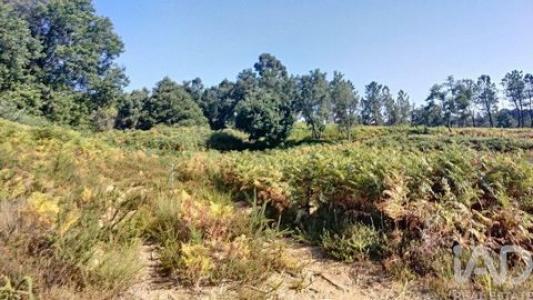 Acheter Maison Pedrogao-grande r�gion LEIRIA