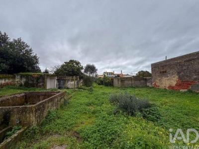 Acheter Maison Almeirim r�gion SANTAREM