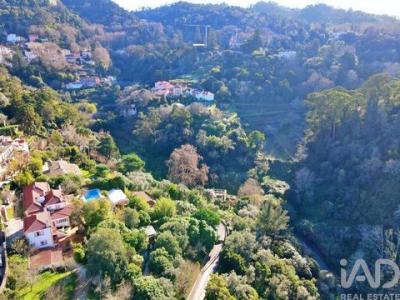 Acheter Maison 1254 m2 Sintra