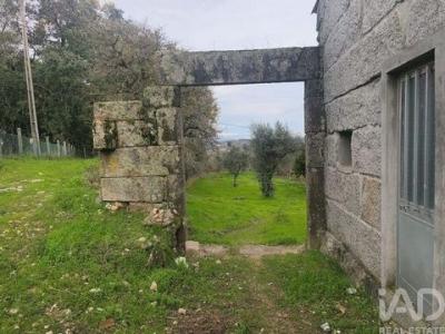 Annonce Vente Maison Oliveira-do-hospital