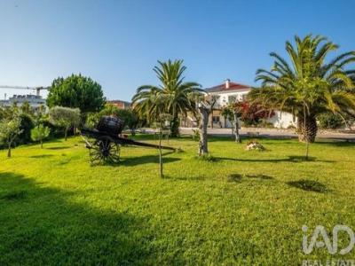 Acheter Maison 619 m2 Alcobaca