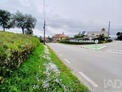 Acheter Maison Castelo-branco r�gion BRAGANCA