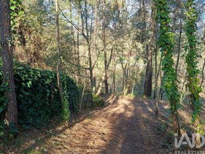 Acheter Maison Marco-de-canaveses r�gion PORTO