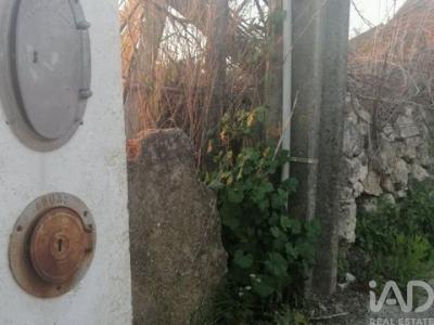 Acheter Maison 32767 m2 Torres-novas