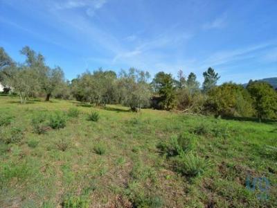 Acheter Maison 102 m2 Miranda-do-corvo