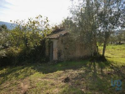 Acheter Maison Miranda-do-corvo r�gion COIMBRA