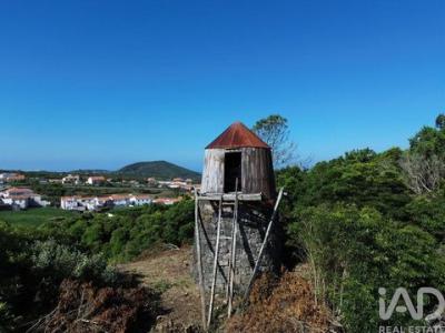 Annonce Vente Maison Madalena