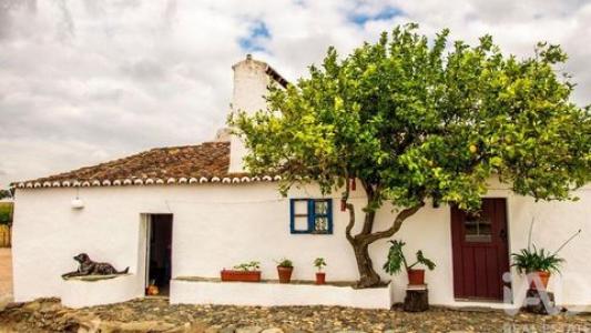 Acheter Maison 532 m2 Elvas