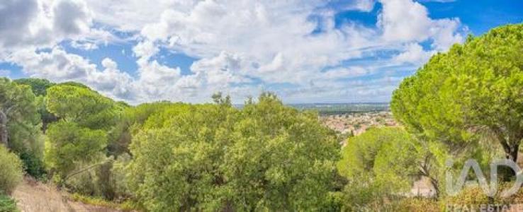 Vente Maison Palmela  15 au Portugal