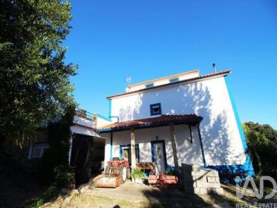 Acheter Maison 271 m2 Ferreira-do-zezere