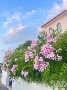 Acheter Maison Peniche r�gion LEIRIA