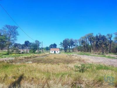 Acheter Maison Murtosa r�gion AVEIRO