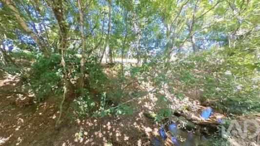 Vente Maison Castanheira-de-pera  10 au Portugal