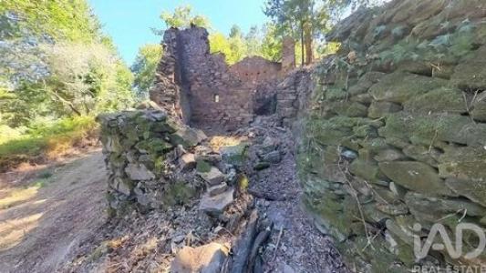 Annonce Vente Maison Castanheira-de-pera