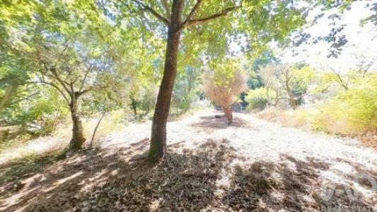 Acheter Maison 96 m2 Castanheira-de-pera