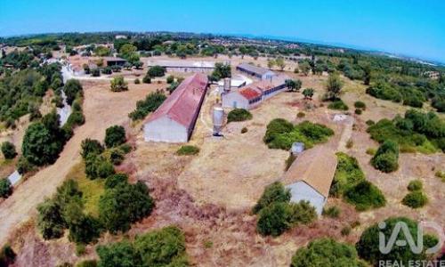 Annonce Vente Maison Santarem