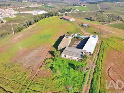 Acheter Maison 32767 m2 Cadaval