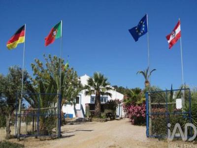 Acheter Maison 322 m2 Portel