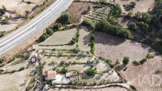 Acheter Maison Celorico-da-beira r�gion GUARDA