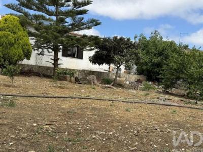 Annonce Vente Maison Lourinha