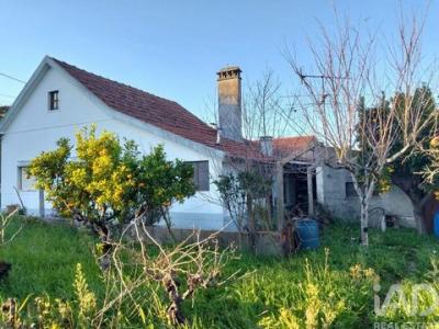 Annonce Vente Maison Ferreira-do-zezere