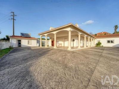 Acheter Maison 318 m2 Leiria