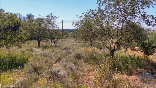 Acheter Maison Albufeira r�gion FARO