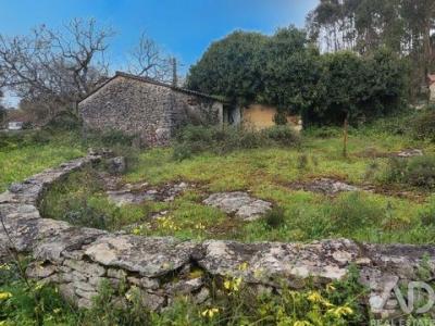 Annonce Vente Maison Alcobaca