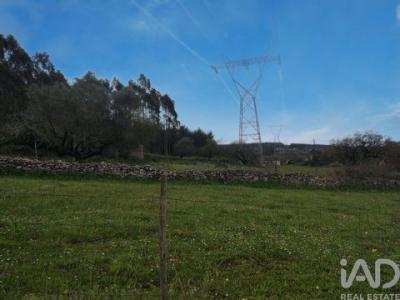 Acheter Maison Alcobaca r�gion LEIRIA