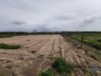 Acheter Maison 60 m2 Faro