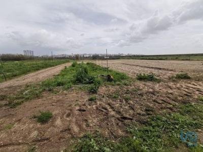 Acheter Maison Faro r�gion FARO