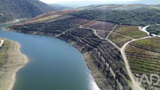 Annonce Vente Maison Vila-nova-de-foz-coa