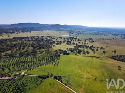 Acheter Maison 32767 m2 Montemor-o-novo