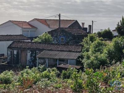 Acheter Maison Lajes-do-pico r�gion ACORES