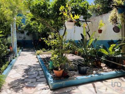 Acheter Maison 226 m2 Almeirim