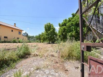 Acheter Maison Penela r�gion COIMBRA