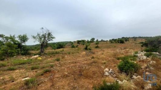 Acheter Maison Albufeira r�gion FARO